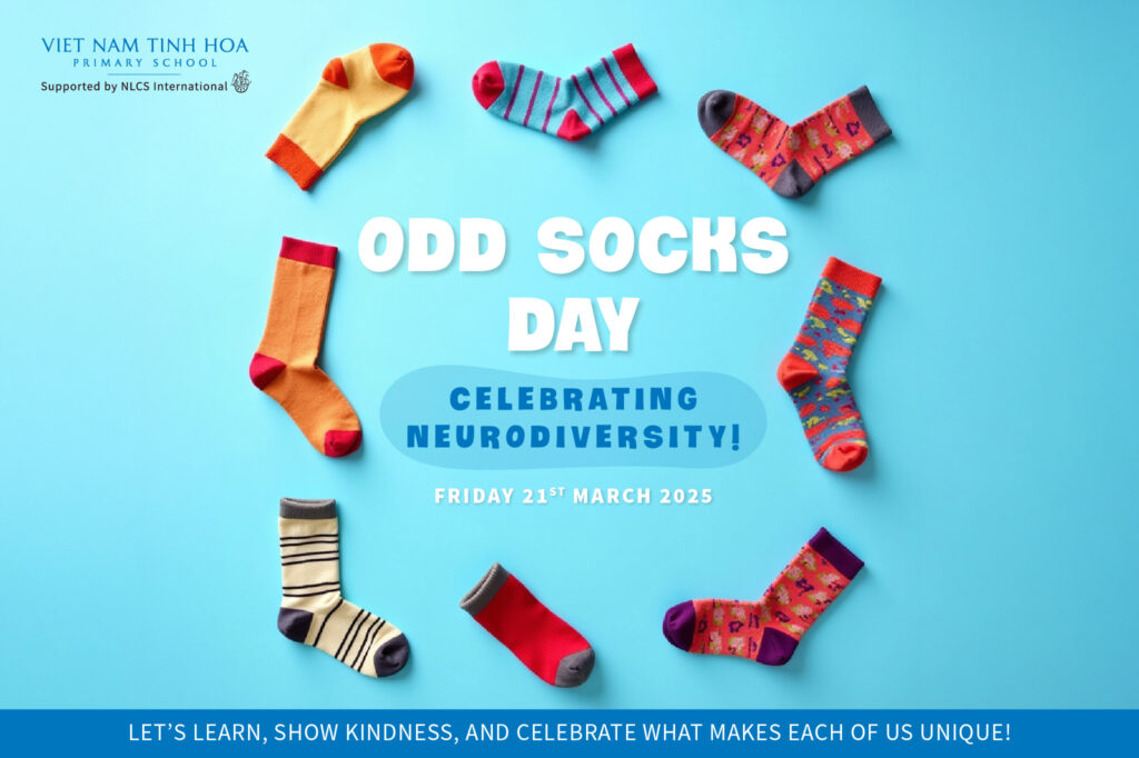 VNTH Thumbnail Web 7